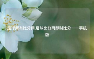 足球所有比分网,足球比分网即时比分一一手机版