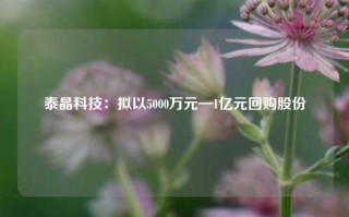 泰晶科技：拟以5000万元—1亿元回购股份