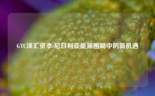 GTC泽汇资本:尼日利亚能源困局中的新机遇