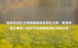 琛球足球比分网探秘琛球足球比分网 - 聚焦球类比赛的一站式平台琛探足球比分网立冬