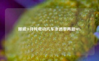 挪威10月纯电动汽车渗透率再超90%