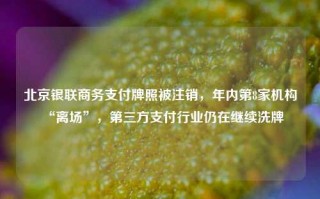 北京银联商务支付牌照被注销，年内第8家机构“离场”，第三方支付行业仍在继续洗牌