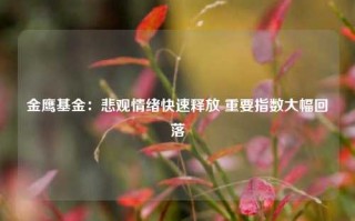 金鹰基金：悲观情绪快速释放 重要指数大幅回落