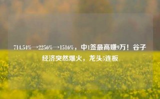 714.54%→2256%→1516%，中1签最高赚9万！谷子经济突然爆火，龙头5连板