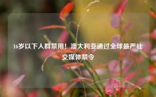 16岁以下人群禁用！澳大利亚通过全球最严社交媒体禁令