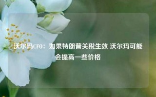 沃尔玛CFO：如果特朗普关税生效 沃尔玛可能会提高一些价格