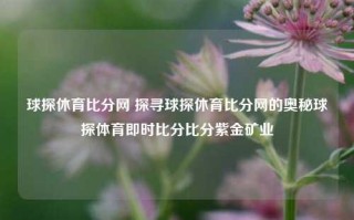 球探休育比分网 探寻球探休育比分网的奥秘球探体育即时比分比分紫金矿业