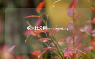 收米比分网www.shoumi.org