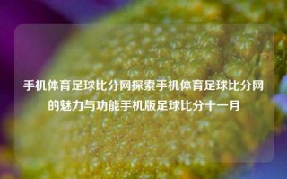 手机体育足球比分网探索手机体育足球比分网的魅力与功能手机版足球比分十一月