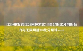 比310更好的比分网探索比310更好的比分网的魅力与无限可能310比分足球watch