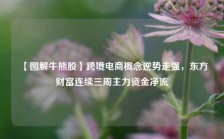 【图解牛熊股】跨境电商概念逆势走强，东方财富连续三周主力资金净流