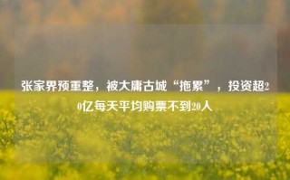 张家界预重整，被大庸古城“拖累”，投资超20亿每天平均购票不到20人