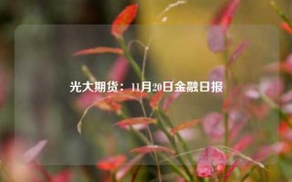 光大期货：11月20日金融日报