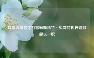 特朗普提名亿万富翁斯科特·贝森特担任财政部长一职