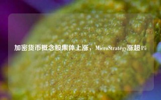 加密货币概念股集体上涨，MicroStrategy涨超4%