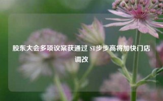 股东大会多项议案获通过 ST步步高将加快门店调改