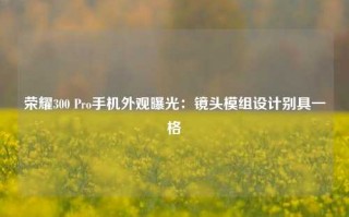 荣耀300 Pro手机外观曝光：镜头模组设计别具一格