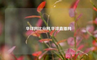 华球网比分网,华球直播网