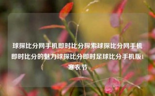 球探比分网手机即时比分探索球探比分网手机即时比分的魅力球探比分即时足球比分手机版1寒衣节