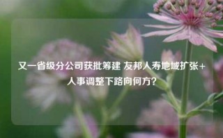 又一省级分公司获批筹建 友邦人寿地域扩张+人事调整下路向何方？