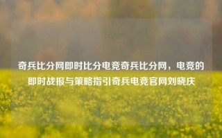 奇兵比分网即时比分电竞奇兵比分网，电竞的即时战报与策略指引奇兵电竞官网刘晓庆