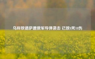 乌称敖德萨遭俄军导弹袭击 已致8死18伤