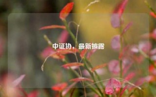 中证协，最新披露