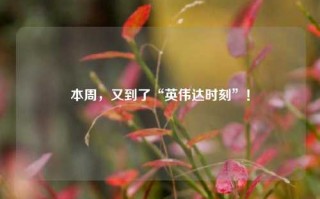 本周，又到了“英伟达时刻”！