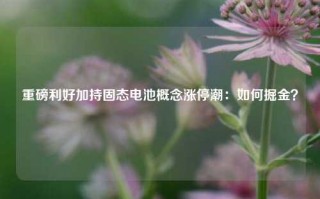 重磅利好加持固态电池概念涨停潮：如何掘金？