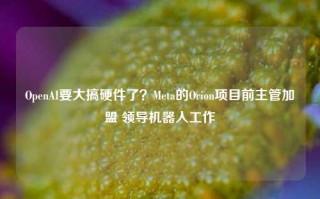 OpenAI要大搞硬件了？Meta的Orion项目前主管加盟 领导机器人工作