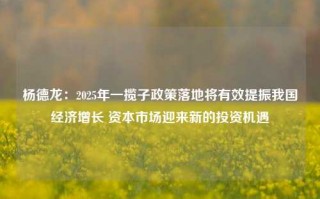 杨德龙：2025年一揽子政策落地将有效提振我国经济增长 资本市场迎来新的投资机遇