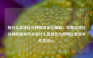 有什么足球比分网探寻足坛精彩，实用足球比分网的探究与分享什么足球比分网可以看到水位变动btc