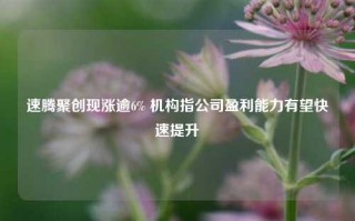 速腾聚创现涨逾6% 机构指公司盈利能力有望快速提升