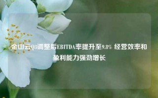 金山云Q3调整后EBITDA率提升至9.8% 经营效率和盈利能力强劲增长