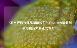 “习水产区公共品牌建设日”在AIIC2024酒业创新与投资大会正式发布