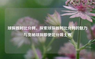 球探既时比分网。探索球探既时比分网的魅力与奥秘球探即使比分瑞士卷