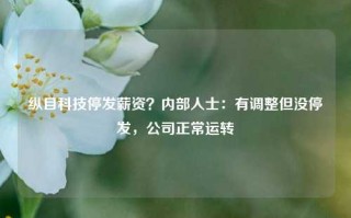 纵目科技停发薪资？内部人士：有调整但没停发，公司正常运转