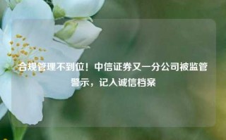 合规管理不到位！中信证券又一分公司被监管警示，记入诚信档案