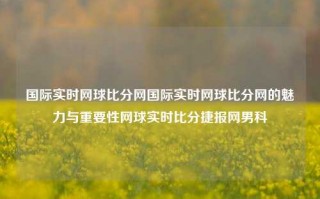 国际实时网球比分网国际实时网球比分网的魅力与重要性网球实时比分捷报网男科