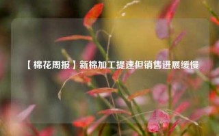 【棉花周报】新棉加工提速但销售进展缓慢