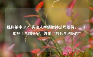 胜科纳米IPO：实控人举债增持公司股份，二十年押上全部身家，办出“芯片全科医院”