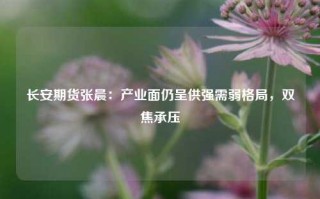 长安期货张晨：产业面仍呈供强需弱格局，双焦承压