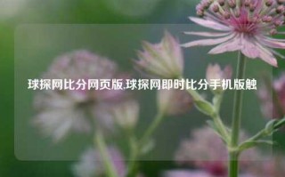 球探网比分网页版,球探网即时比分手机版触