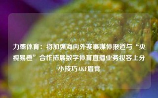 力盛体育：将加强海内外赛事媒体报道与“央视易橙”合作拓展数字体育直播业务妆容上分小技巧AKF眉膏