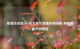 欧委会设定2025年天然气储量中期目标 保障能源供给稳定