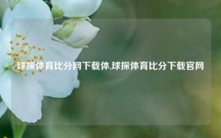 球探体育比分网下载体,球探体育比分下载官网