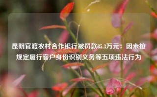 昆明官渡农村合作银行被罚款85.3万元：因未按规定履行客户身份识别义务等五项违法行为