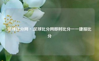 足球比分网丶,足球比分网即时比分一一捷报比分