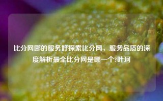 比分网哪的服务好探索比分网，服务品质的深度解析最全比分网是哪一个?叶珂