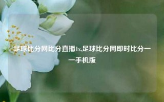 足球比分网比分直播1x,足球比分网即时比分一一手机版